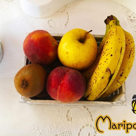 B&B Mariposa Sennori Εξωτερικό φωτογραφία